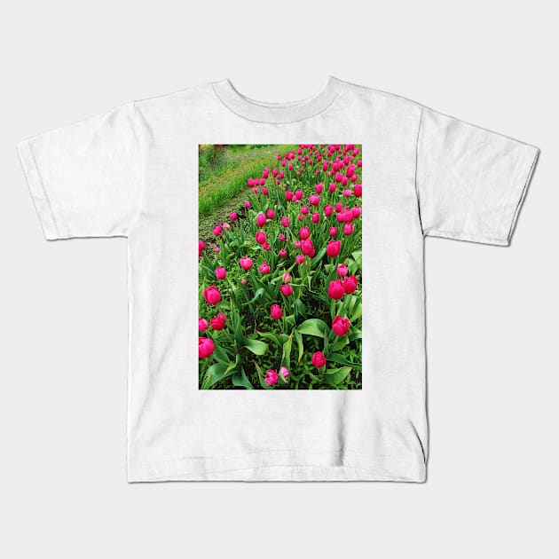 Tulip Fields Kids T-Shirt by ikshvaku